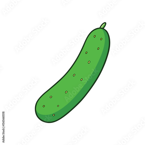 Diagonal cucumber slice fresh green veggie illustration Vector illustration