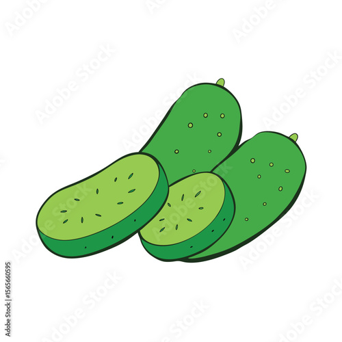 Cucumber slices arranged neatly fresh clean green veggie Vector illustration