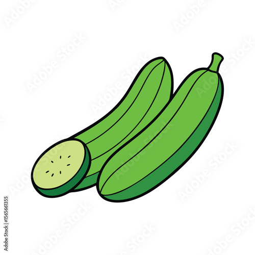 Crosscut zucchini slices in green fresh layout flat veggie art Vector illustration