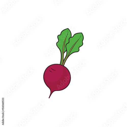 Juicy beetroot with leaves bright purple vegetable artistic look Vector illustration