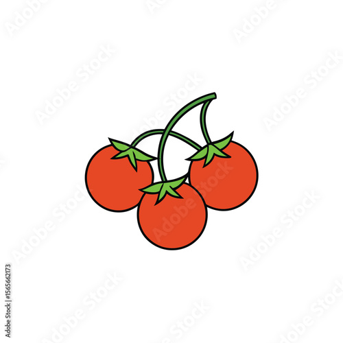Ripe tomato cluster juicy on vine with green leaves vector Vector illustration