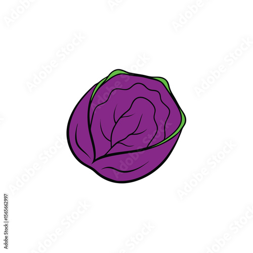 Purple cabbage sliced in half bold vibrant flat veggie art Vector illustration