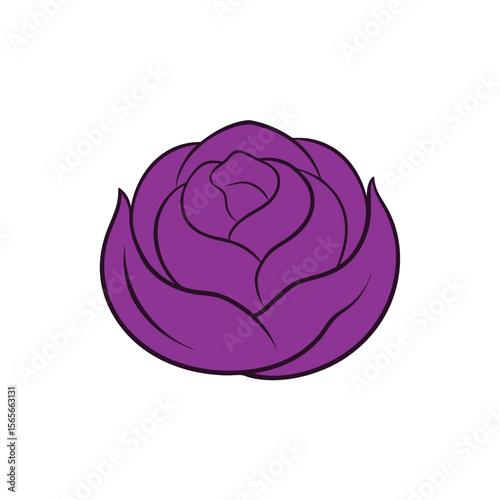 Curled purple cabbage leaves flat colorful artistic layout Vector illustration