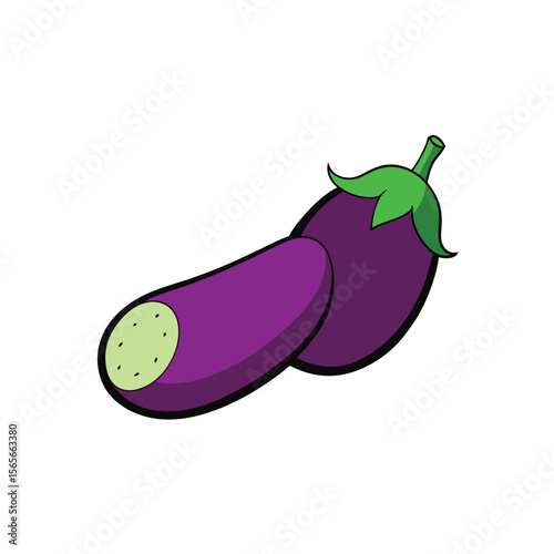 Purple eggplants whole and cut detailed vegetable layout Vector illustration