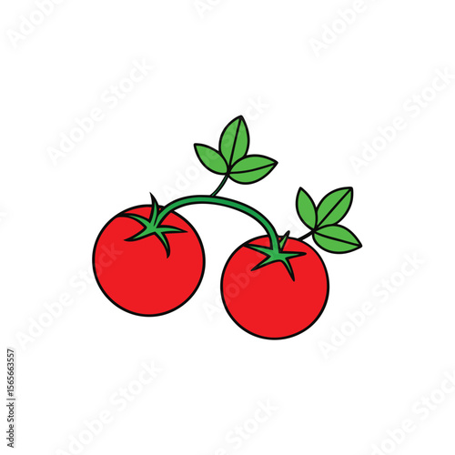 Tomatoes on vine with leaves fresh vibrant red veggie design Vector illustration