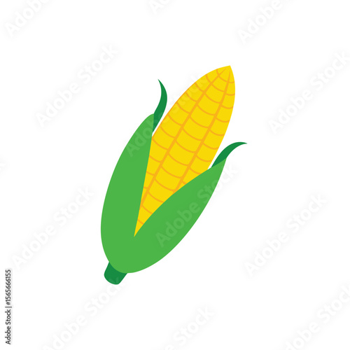 Golden sweet corn with green husk peeled clean veggie design Vector illustration