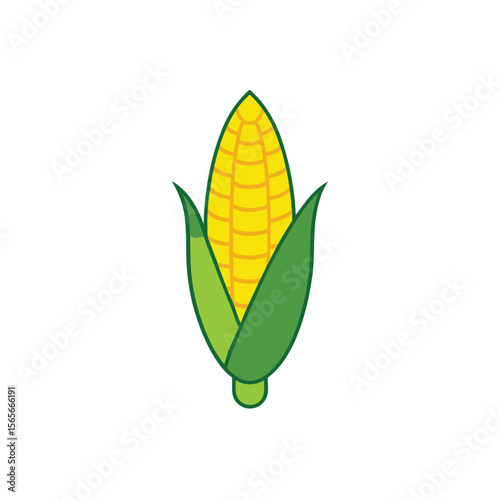 Sweet corn with green husk and golden kernels fresh style Vector illustration