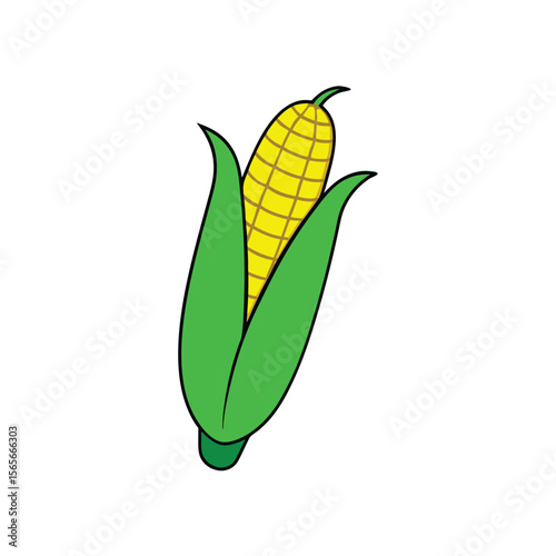 Fresh corn with green husk peeled back clean yellow veggie Vector illustration