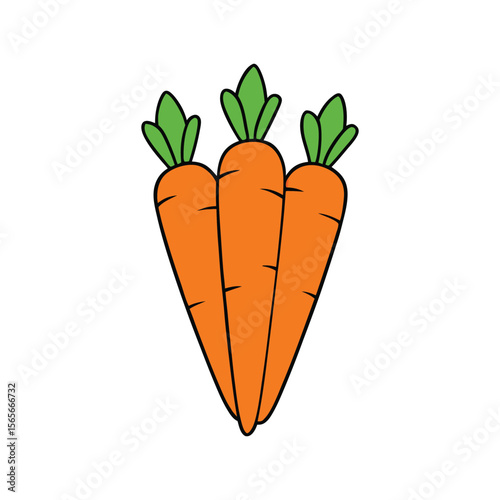Group of orange carrots in bunch flat style Vector illustration