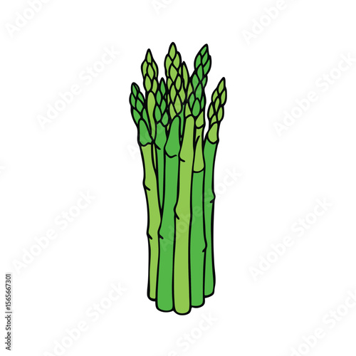 Fresh asparagus tips in clean minimal flat style Vector illustration