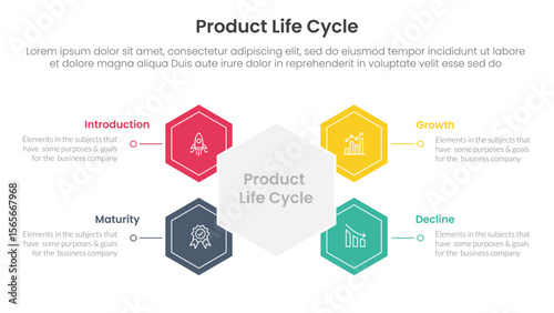 product life cycle stages infographic 4 point stage template with hexagon shape connected for slide presentation