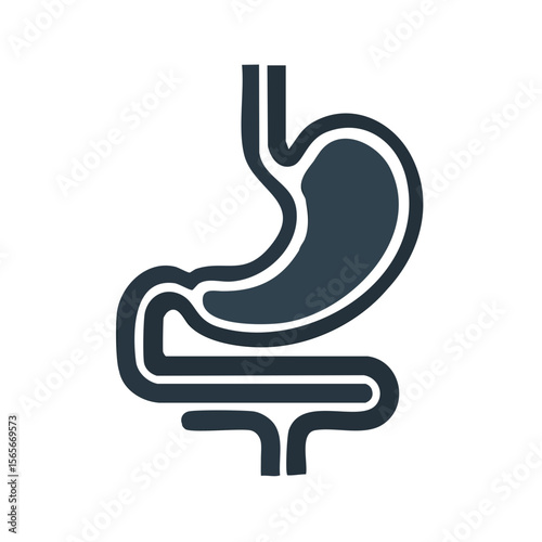 Stylized Medical Illustration of Human Stomach and Intestines for Health Science Resources