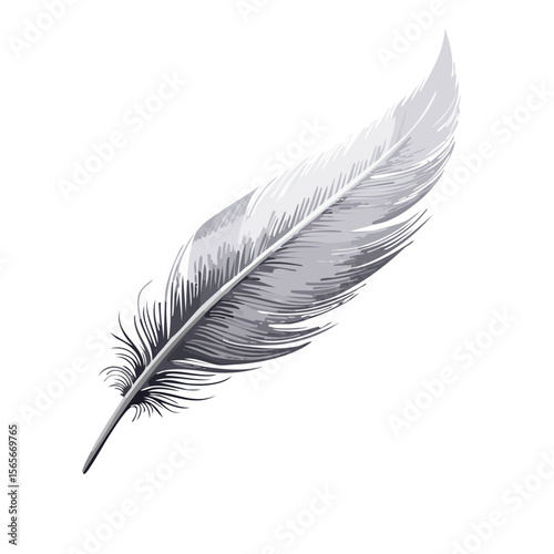 Elegant white feather illustration against black background, isolated vector art