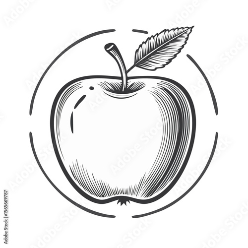 Apple illustration with a vintage engraving effect graphic healthy fruit icon style with leaves and stem on black