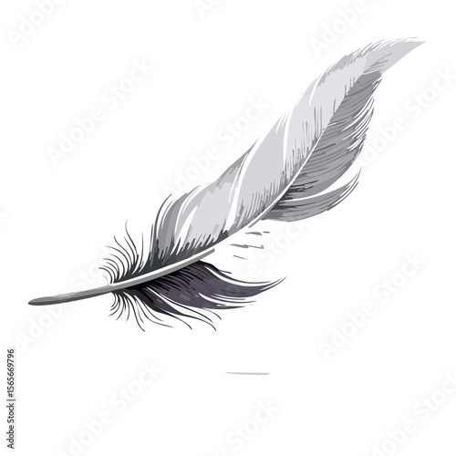 Elegant Single Feather Isolated Against Black Background, Feather Details, Decorative Design