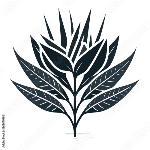 Stylized dark tropical plant illustration on black, featuring elongated leaves and spiky foliage for graphic design elements