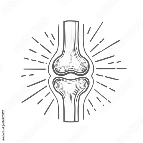 Knee Joint Anatomy Engraving Illustration for Medical Healthcare or Injury Concepts on Black Background
