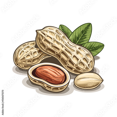 Peanut food illustration featuring whole shelled peanuts and leaves on black background suitable for packaging or advertising concepts