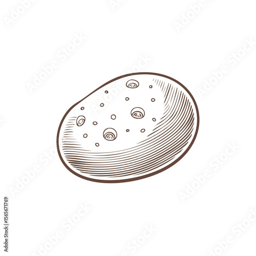 Potato illustration with engraved texture showing eyes against black background Single brown potato vegetable graphic style vintage vector