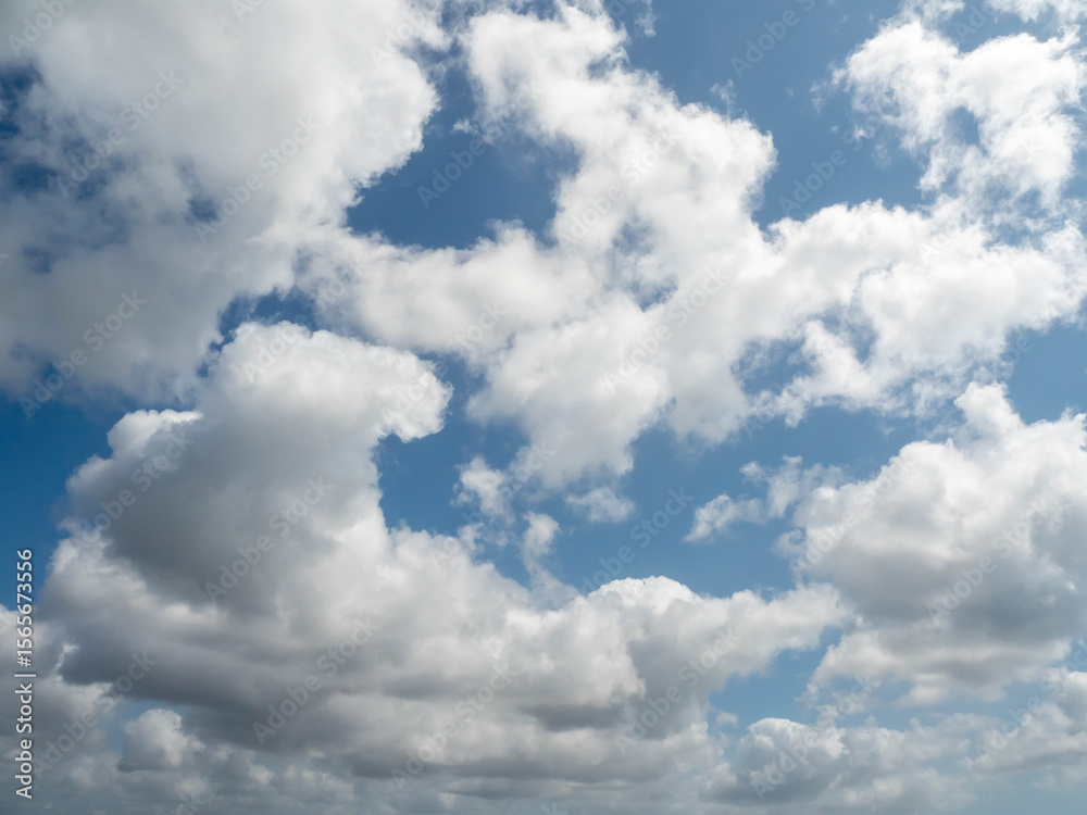 Fototapeta premium Cloudy blue sky. Background for design and replacement. Warm summer vibe.