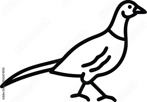 Simple line drawing of standing pheasant illustration for print and web design