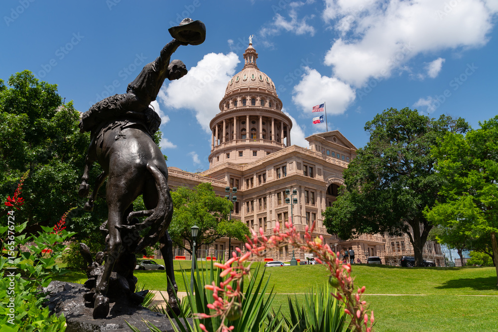 Obraz na plátně Texas State Capitol Building