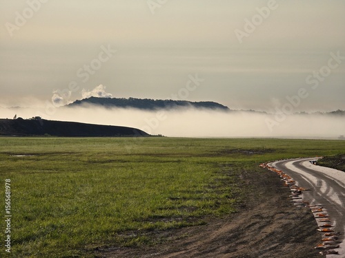 rural landscape in the morning