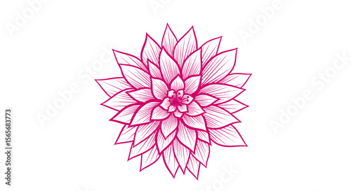 Elegant Pink Dahlia Flower Illustration A Delicate Floral Design for Print and Digital Projects