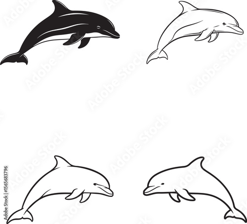 dolphin isolated on white background