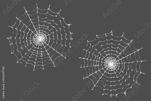 Realistic vector illustration of a spider web on a solid black background. The web is intricate and symmetrical.