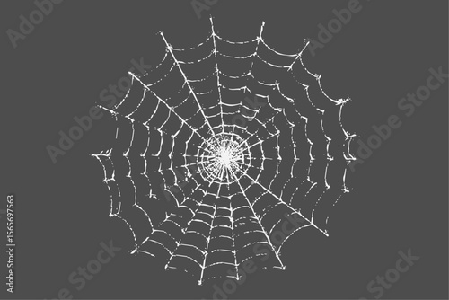 Realistic vector illustration of a spider web on a solid black background. The web is intricate and symmetrical.