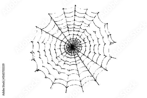 Realistic vector illustration of a spider web on a solid white background. The web is intricate and symmetrical.
