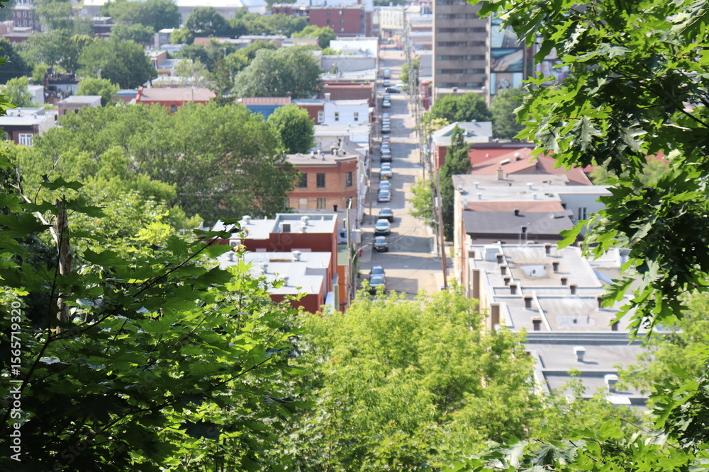 Fototapeta premium Aerial view of a residential area and a street with cars. Cityacape with houses and street. A view of the lower town in Quebec city. 