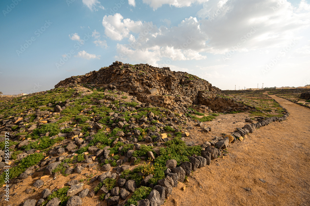 Obraz premium Mound at Fayd Historical city