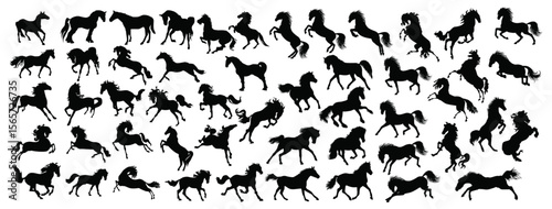 Equestrian silhouettes: A collection of diverse horses, meticulously rendered in striking black silhouettes, showcasing a dynamic array of actions against a minimalist backdrop.