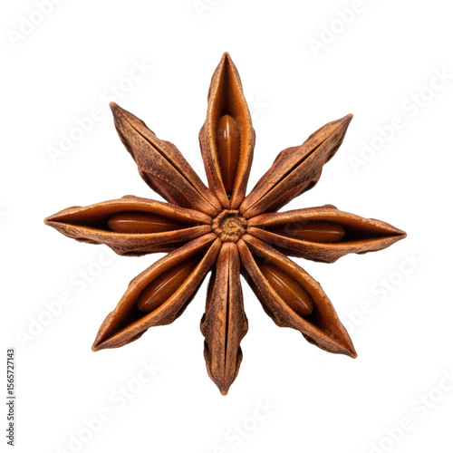 A single dried star anise pod, showcasing its distinctive star shape and rich brown color. Ideal for culinary themes, spice collections, or beverage ingredients.