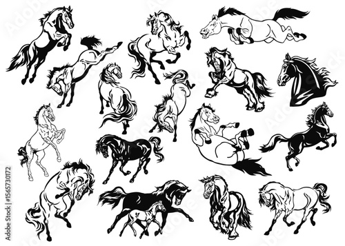 Dynamic Stallion Collection: A captivating compilation of artistic representations, with various horse poses that capture their power, grace, and boundless freedom. 
