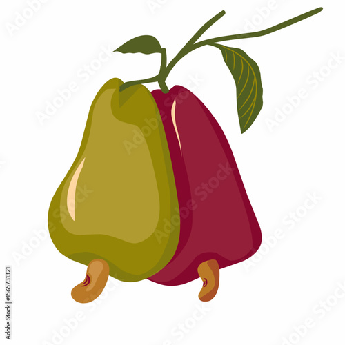 illustration of a cashew fruit,vector cashew fruit with leaves,hand drawn cashew fruit
