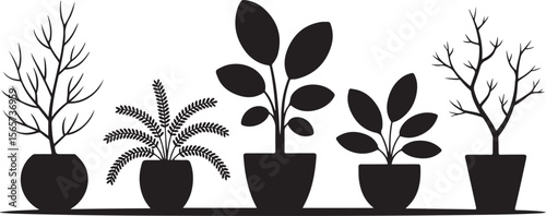 Silhouette of Five Potted Plants with Various Leaf and Branch Shapes Against White Background
