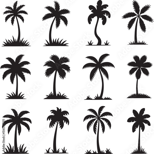 Twelve Black Palm Tree Silhouettes with Grass on White Background palm trees tropical
