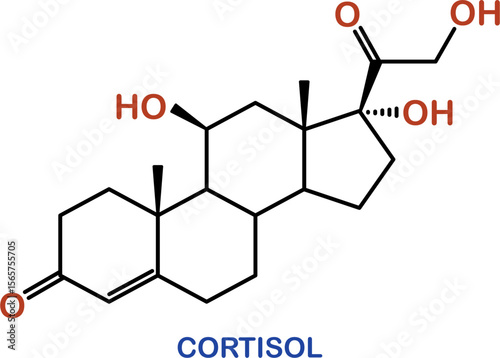 Chemical structure of cortisol hormone