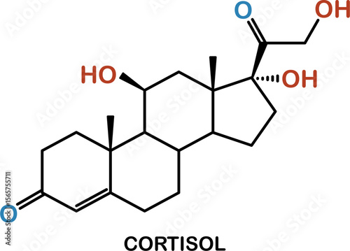 Chemical structure of cortisol hormone
