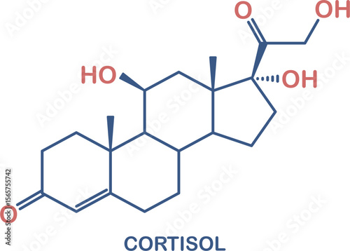 Chemical structure of cortisol hormone