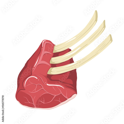 Illustration of Raw Lamb Rib Chops