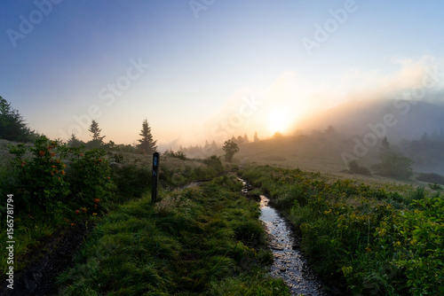 Morning hike along the Appalachian Trail so beautiful that even Taylor Swift would be left speechless. Located on the border of Tennessee and North Carolina border