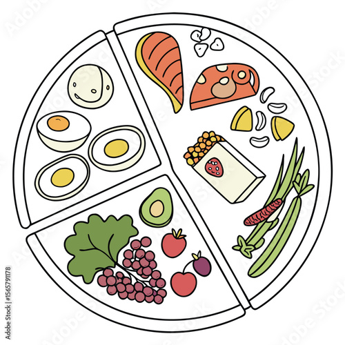Balanced diet vector plate illustration
