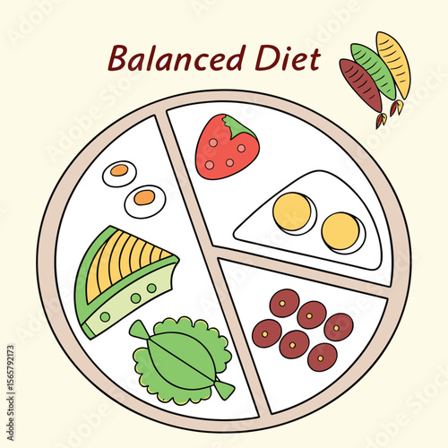 Balanced diet vector plate illustration