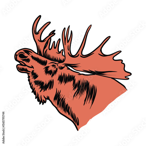 moose head with separate white background