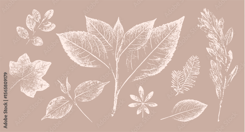 Obraz premium Pink tan and brown floral prints of botanical illustration. Decorative set of flowers and leaves pressed or stamped.
