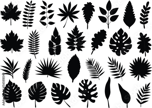 Discover a curated collection of twenty four black leaf silhouettes perfect for adding a natural touch to your creative projects.